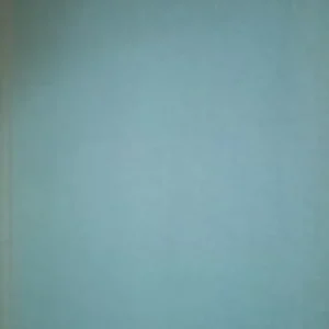 Taniej Kamień i cierpienie /36259/