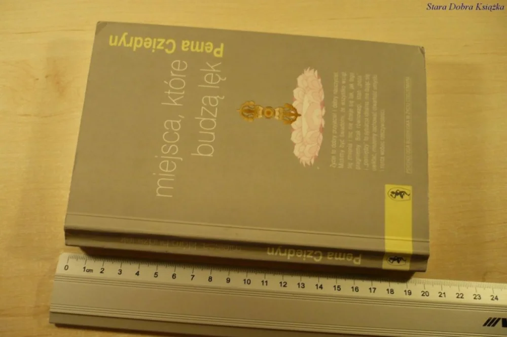Zamów dziś MIEJSCA, KTÓRE BUDZĄ LĘK - Pema Cziedryn (2004)