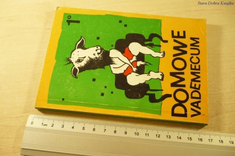 DOMOWE VADEMECUM - Bożena Staszewska (1992) Ostatnie sztuki
