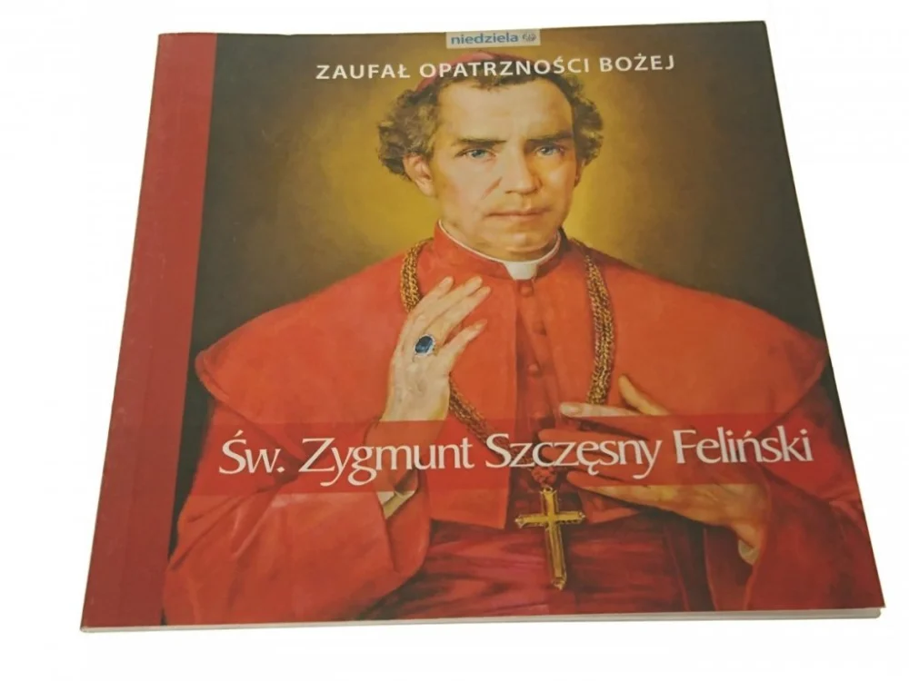 Tylko do końca tygodnia ZAUFAŁ OPATRZNOŚCI BOŻEJ. ŚW. ZYGMUNT (2010)