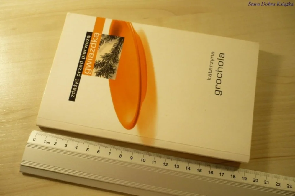 ZDĄŻYĆ PRZED PIERWSZĄ GWIAZDKĄ - Grochola (2002) Sprawdź teraz