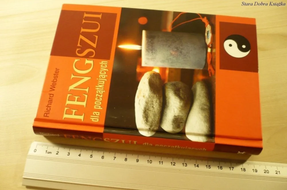 FENGSZUI DLA POCZĄTKUJĄCYCH - Richard Webster 2008 Bestseller