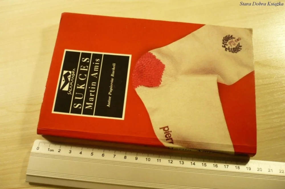 Hit cenowy SUKCES - Martin Amis (1994)