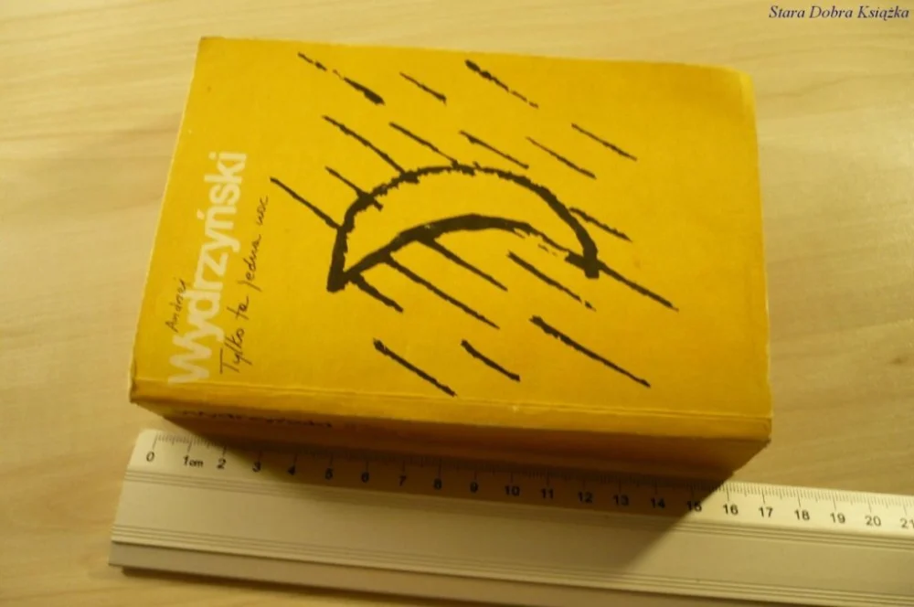 TYLKO TA JEDNA NOC - Andrzej Wydrzyński (1988) Okazja