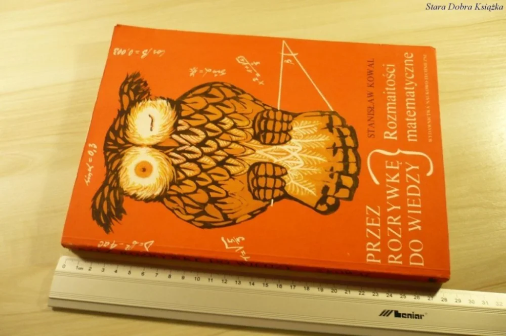 PRZEZ ROZRYWKĘ DO WIEDZY. ROZMAITOŚCI MATEMATYCZNE Kup online