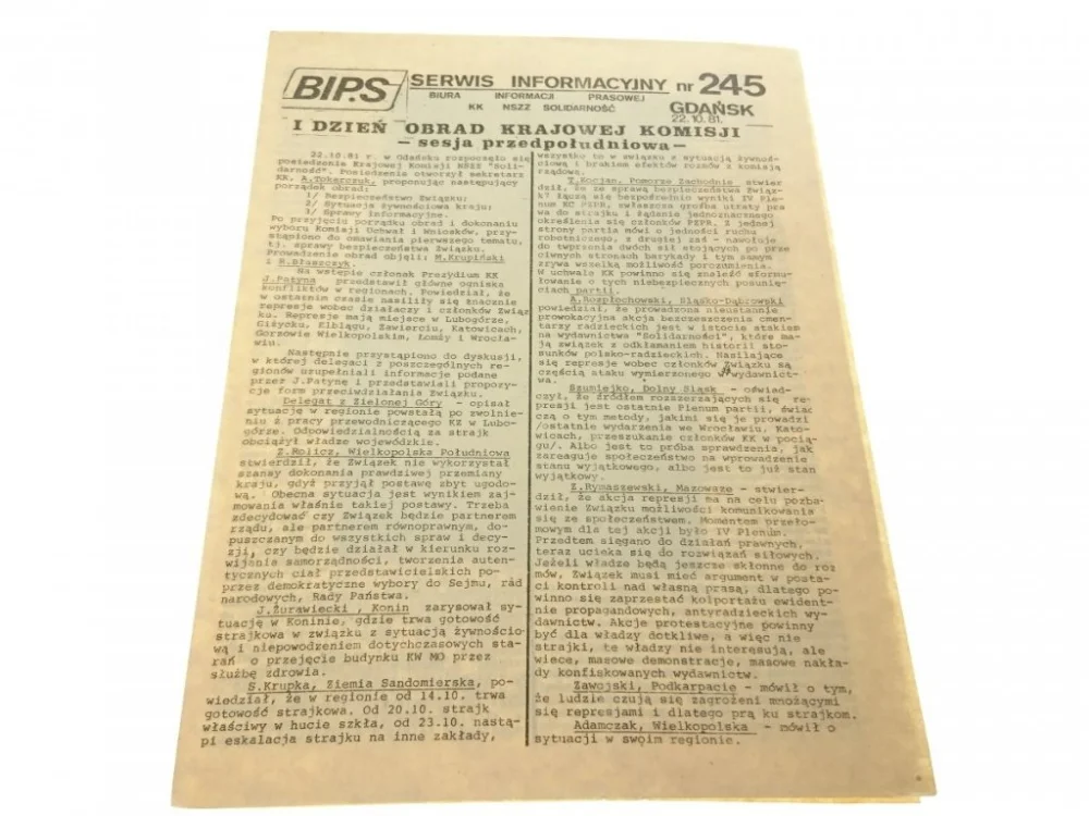 BIPS. SERWIS INFORMACYJNY NR 245 22.10.1981 Ostatnia szansa