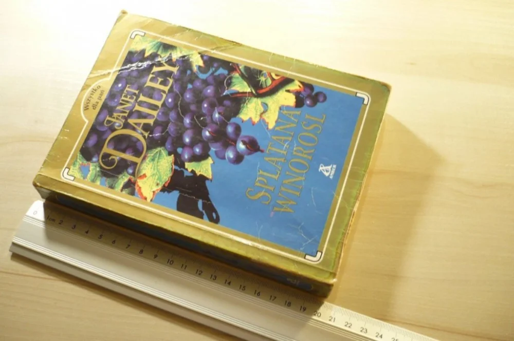 Ograniczona ilość SPLĄTANA WINOROŚL - Janet Dailey 2000