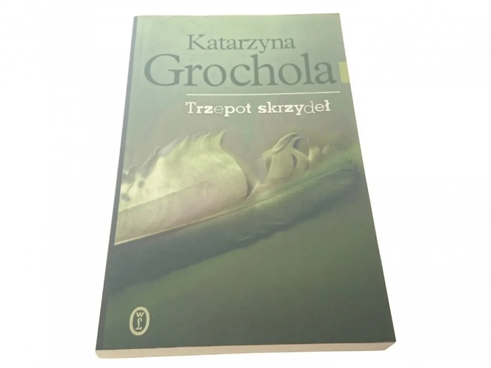 TRZEPOT SKRZYDEŁ - Katarzyna Grochola 2008 Najlepsza cena