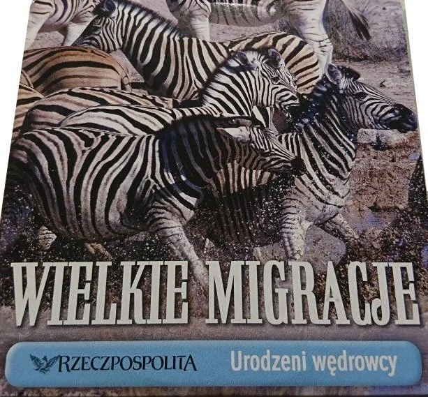 Szybka wysyłka WIELKIE MIGRACJE. URODZENI WĘDROWCY