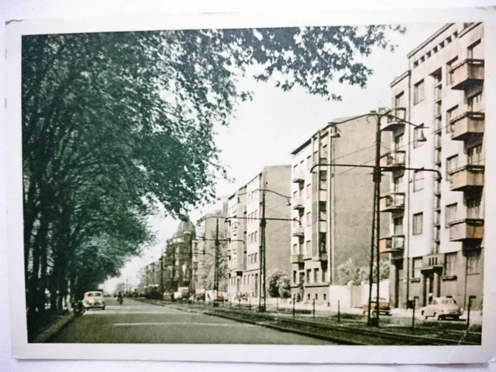 Ostatnia szansa ŁÓDŹ. ALEJE TADEUSZA KOŚCIUSZKI FOT. J. KORPAL
