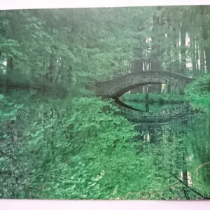 ŻYWIEC - PARK FOT. KRZYSZTOF PILECKI Kup online